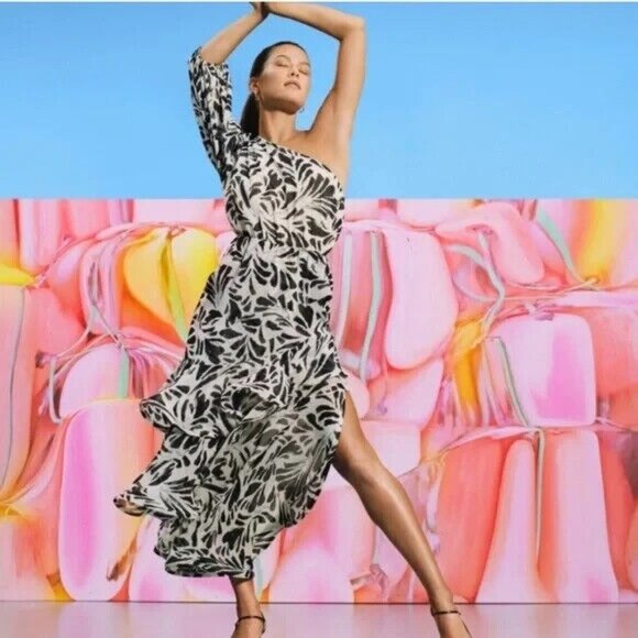 Alexis Dresses & Skirts - Alexis x Target Botanical One Shoulder Black White Ruffle Chiffon Dress Women S